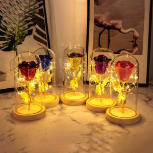 Valentinstagsgeschenk für die Freundin: LED-Lichterkette mit ewigen Rosen in Glasabdeckung