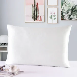 100% Nature Mulberry Silk Pillowcase Zipper Pillowcases Pillow Case For Healthy Standard Queen King Multicolor